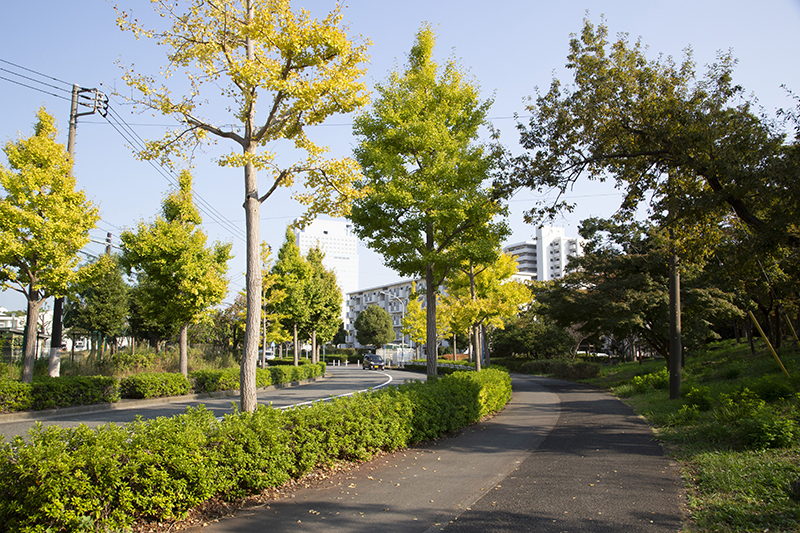 車も人も自転車も利用しやすい歩車分離